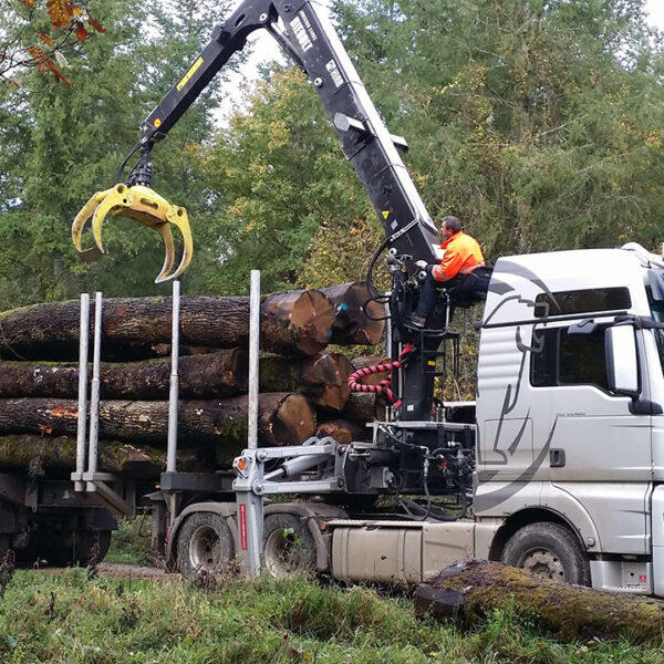 Nadelholzstammholz (gemischt) – PEFC-zertifiziert