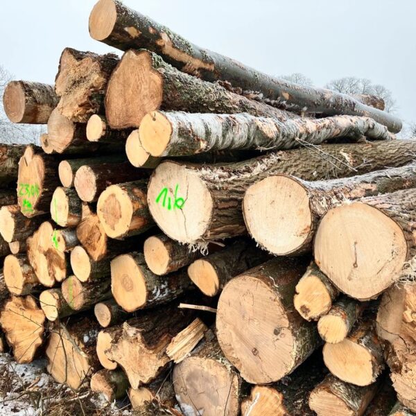 Kiefernstammholz – PEFC-zertifiziert